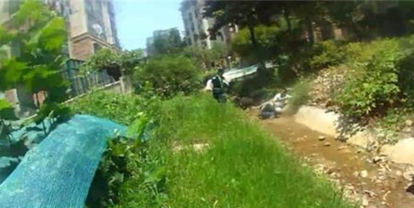 南京一小區(qū)保安勇抓小偷受重傷，業(yè)主自發(fā)捐款 7 萬多元